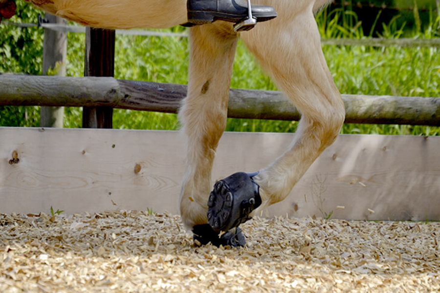 Equestrian Woodchip