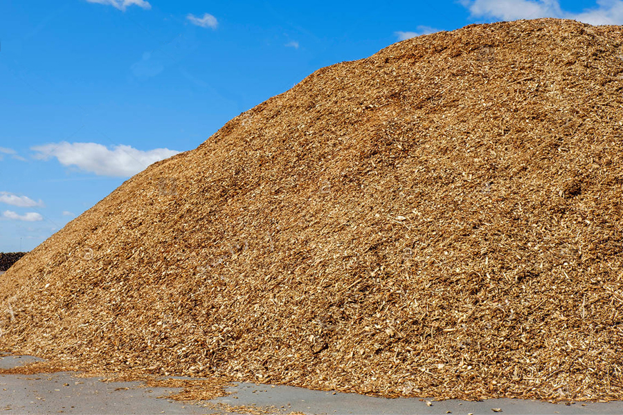 Wood chip pile