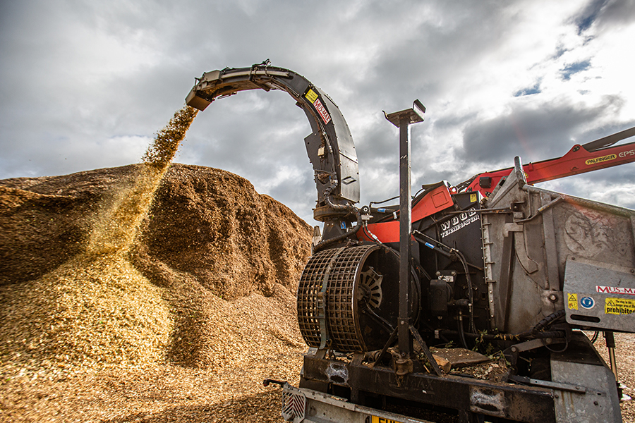 Biomass Woodchip