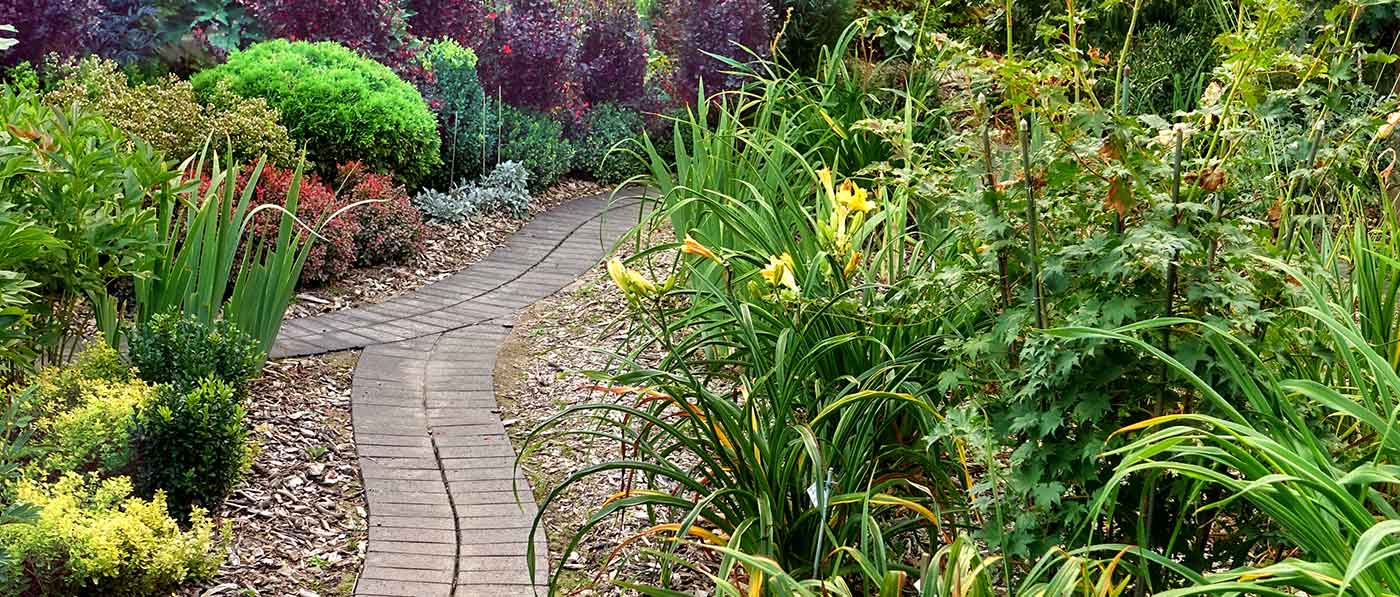 Woodchip for landscaping