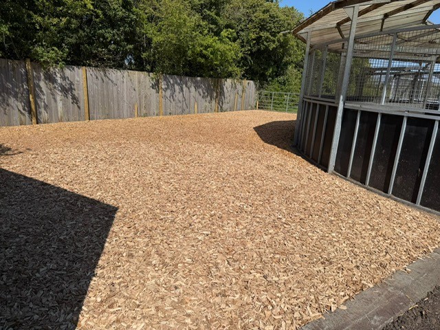 Woodchip for Equestrian Turnout